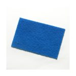 CleanWorks Colour Coded Scourer Blue (Pack 10)