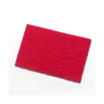 CleanWorks Colour Coded Scourer Red (Pack 10)