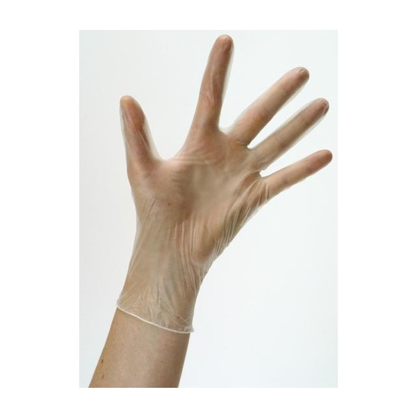 KeepCLEAN Vinyl Powder Free Clear Glove Large-product-800009C KeepCLEAN Vinyl Powder Free Clear Glove Large - Image 1